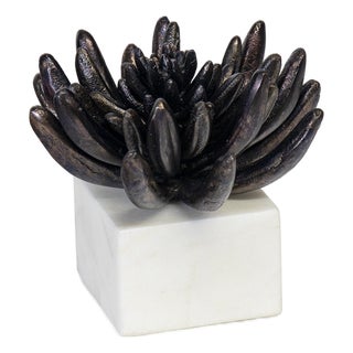 Succulent Sculpture 2, Blackened Zinc For Sale
