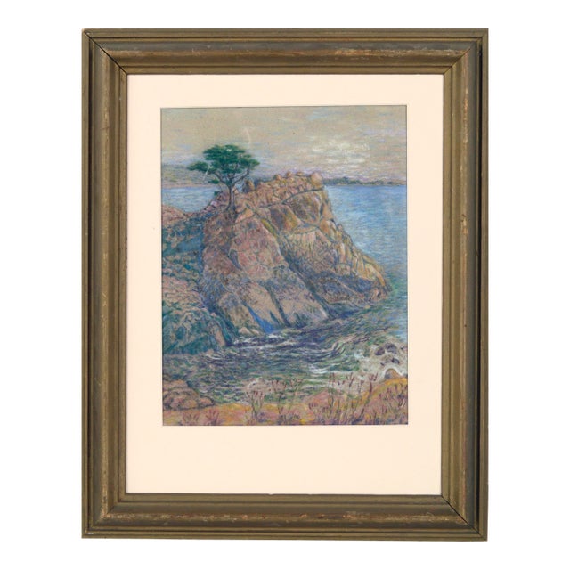 Veteran Cypress at Carmel California by Hugh Moran 1936 For Sale