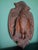 This Jagd hunting plaque is made in Germany and has a duck engraved with it, almost the size of this Jagd plaque, 54 cm...