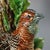 Hugo Lonitz Majolica Partridge and Chicks Candelabra Base For Sale - Image 15 of 17