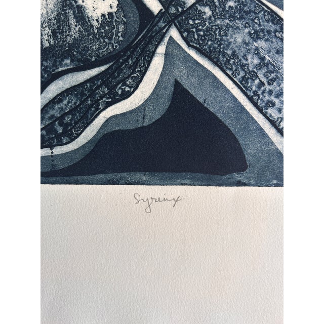 1960s Large Midcentury Modern Abstract Original Signed Print Etching Annette Robyns For Sale - Image 5 of 6