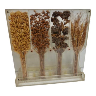 Russian Soviet Era Agricultural Display Dated 1952 For Sale