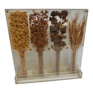 Russian Soviet Era Agricultural Display Dated 1952