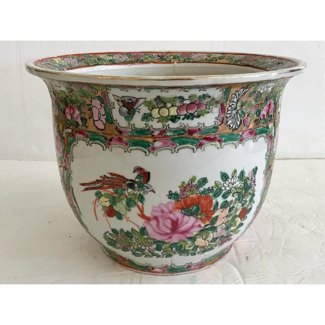 Rose Medallion Cachepot Small For Sale - Image 11 of 11