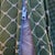 Mid 20th Century Carved French Country Cane Barrel Armchairs With Green Cushions-Set of 4 For Sale - Image 15 of 16