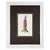 Antique Botanical Print Gallery | Set of 8 F. Edward Hulme Chromolithographs, Framed For Sale - Image 10 of 12