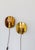A pair of nice-looking wall lamps in brass made in Sweden during the 1960s. These ones give an elegant look. with its bend...