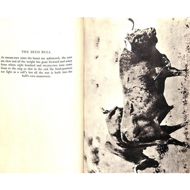 "Death in the Afternoon" 1956 Hemingway, Ernest For Sale In New York - Image 6 of 11