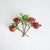Realism Pomegranate Picks 10" St/4 For Sale - Image 3 of 8