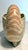 Fitz and Floyd Mid Century Modern Fitz and Floyd Nautilus Seashell Planter For Sale - Image 4 of 6
