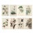 Vintage Reproductions of 1966 John James Audubon Prints— Sparrow, Warbler, Woodpecker, Starling, Swallow and Catcher - Collection of 4 For Sale