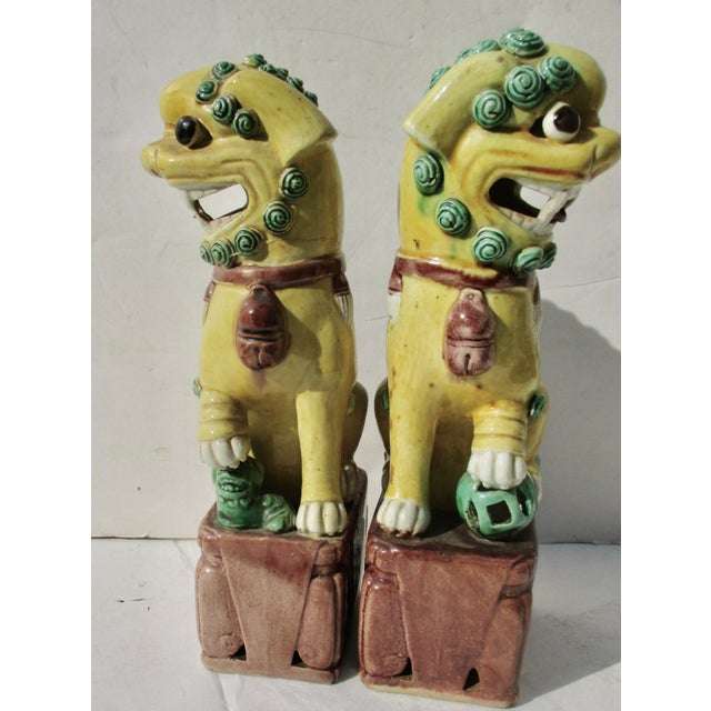 Antique Chinese Porcelain Sanci Glaze Foo Dogs - A Pair of 2 For Sale - Image 4 of 6