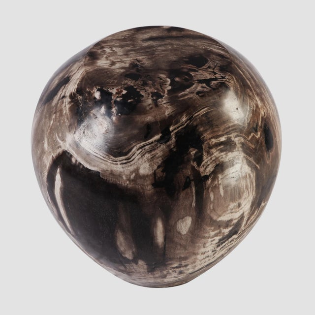 Made from one fossilized tree trunk, this drum shaped organic petrified wood stool or side table is hand polished to show...