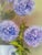 VTG Floral Still Life Canvas Painting Ornate Gilt Frame 16x12 Bouquet Signed For Sale - Image 9 of 15