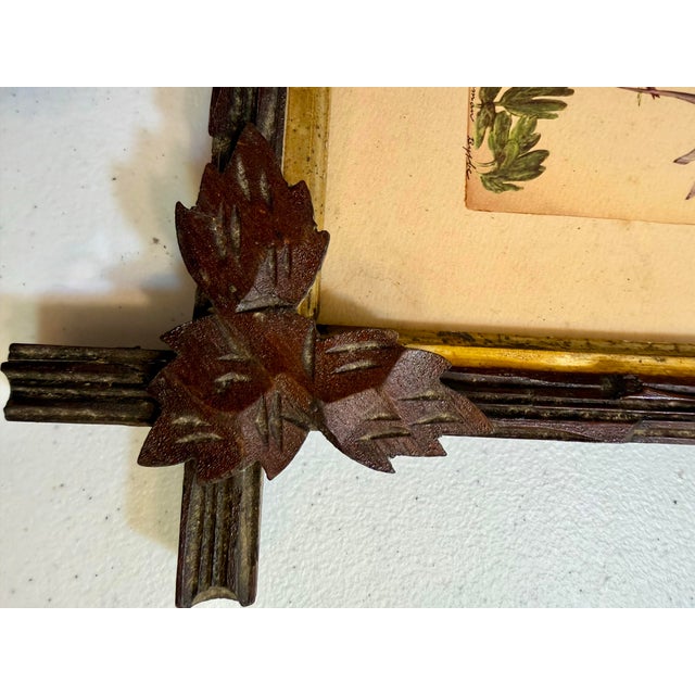 Mid 19th Century Lyman Byxbe “Columbine” and “Wild Rose” Prints in Criss Cross Corner Frames - Set of 2 For Sale - Image 11 of 12