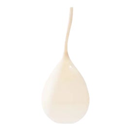 Example of Silicone Lighting