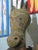 Mexican 1940s Mexican Folk Art Carved and Painted Wood Horse Head Sculpture- 31‚Äù Tall For Sale - Image 3 of 5