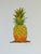 Botanicals of Modern Painted Pineapples Set of 4 For Sale - Image 4 of 7