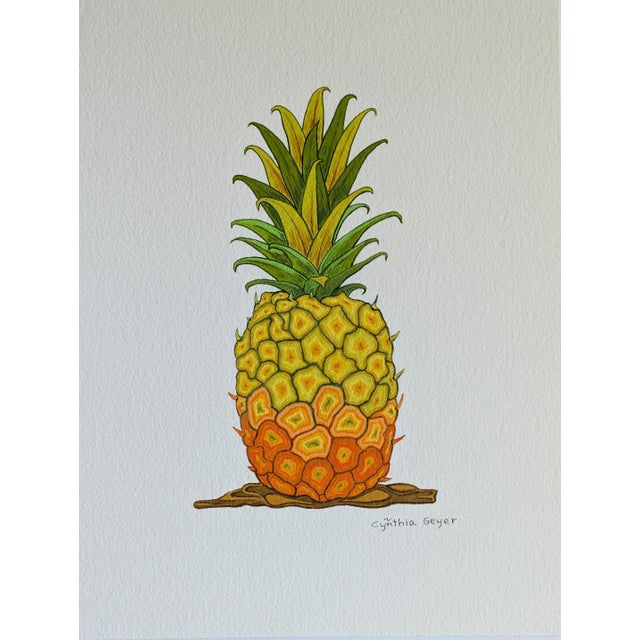 Pineapple Fruit Modern Botanical Paintings by Cynthia Geyer For Sale - Image 4 of 7