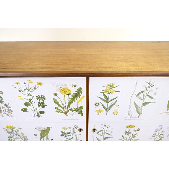 Vintage Cabinet with Nordens Flora Illustrations in the style of Josef Frank, 1960s For Sale - Image 4 of 10