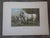 Antique 19th Century Animal Lithographs - Set of 3 For Sale - Image 4 of 5