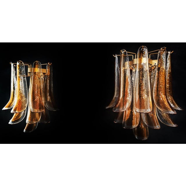 Gold Vintage Italian Murano Wall Lights Amber Glass Petals, 1970s, Set of 2 For Sale - Image 8 of 18