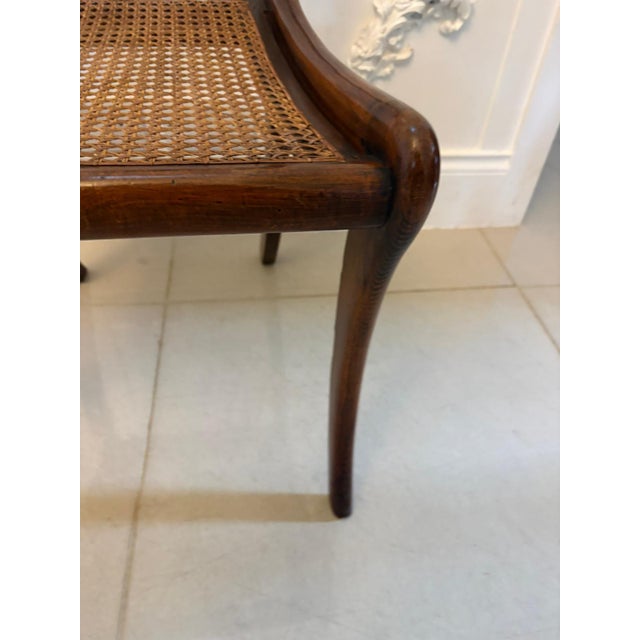 Early 19th Century Antique Regency Mahogany Dining Chairs with Cane Seats, Five Singles & One Carver, 1830s, Set of 6 For Sale - Image 5 of 18