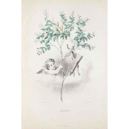 Lithograph on paper. Plate from the Series "Les Fleurs Animées". Single sheet with passepartout. "\.Upon his first arrival...