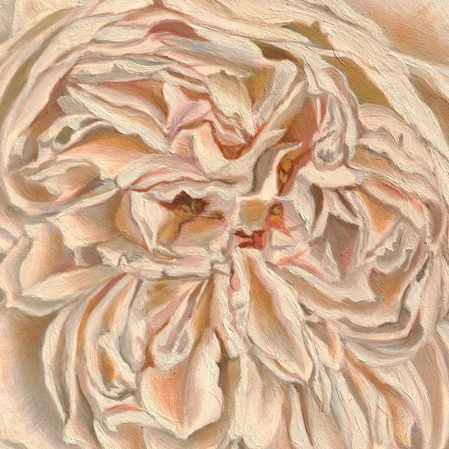 "Whispers of White" is an oil on panel painting by Robin Hextrum, completed in 2026. A single full bloom fills the panel...