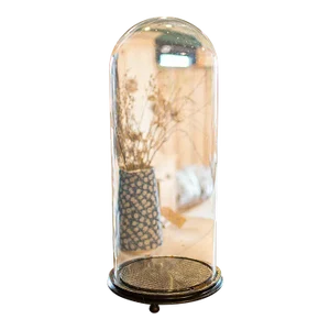 1890's Tall Antique Taxidermy Showcase
