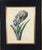 Traditional 18th-Century Framed Watercolor of Mourning Iris and English Iris For Sale - Image 3 of 11