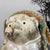 Decorative Tanuki Tanuki Statue, 1970s For Sale - Image 4 of 13