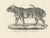 Mid 19th Century 19th-Century Lithograph of the Striped Tigress, Mate of the Royal Tiger, 1836 For Sale - Image 5 of 10