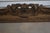 1900 - 1909 Vintage Oil Painting of House/Cottage in Winter For Sale - Image 5 of 12