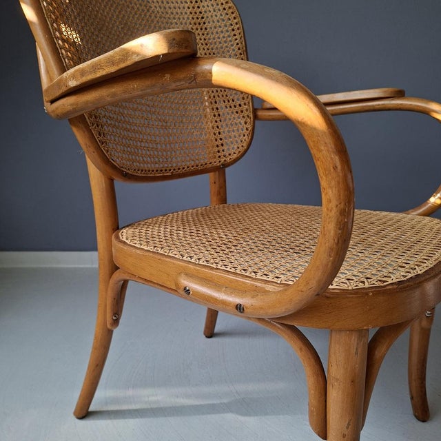 Brown No. E 821 F Chair by Eberhard Krauss for Thonet, 1930s For Sale - Image 8 of 13