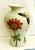 Chinoiserie Celadon Floral Vase For Sale - Image 3 of 8