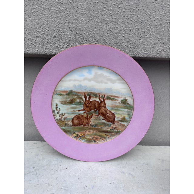 Rare French Porcelain Set of 8 Wild Animals Plates Haviland Limoges Circa 1890 For Sale - Image 10 of 12