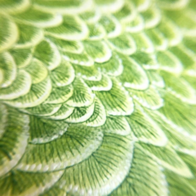 "Welcome to the Jungle" stars a VERY handsome Military Macaw in a jungle of palms and bougainvillea blooms. Done in a...