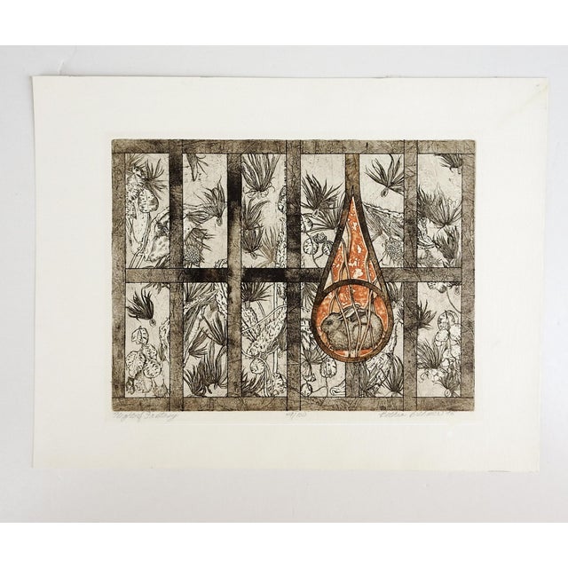 Vintage 1975 Garden Rabbit Etching For Sale - Image 4 of 4