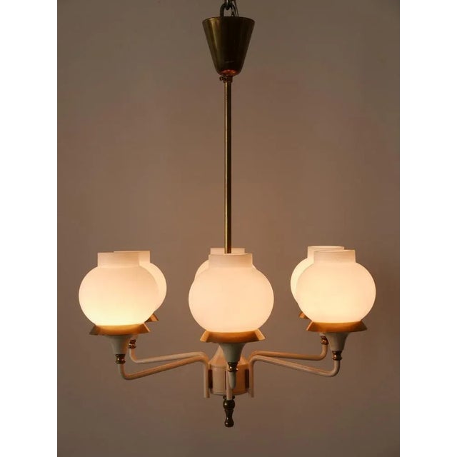 Mid-Century Modern Tulipan Pendant Lamp from Kaiser, 1950s For Sale - Image 12 of 18