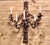 Antique Five-Branch Wall Sconce For Sale - Image 9 of 14