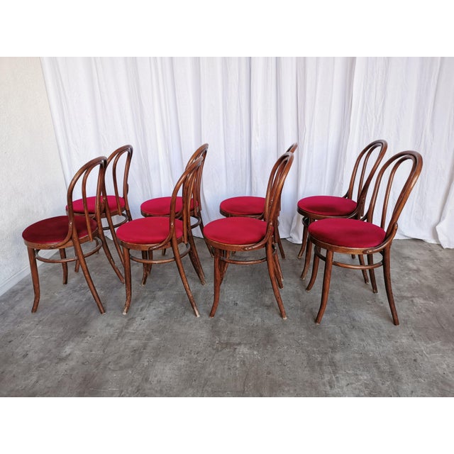 Vintage Bentwood Bistro Chairs, 1970s, Set of 8 For Sale - Image 18 of 18