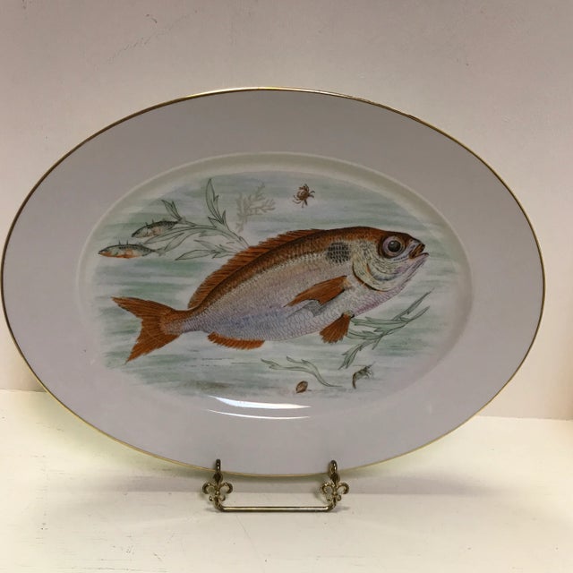 Hand Painted Porcelain Fish Serving Platter by J K W West German 1930's For Sale - Image 12 of 12