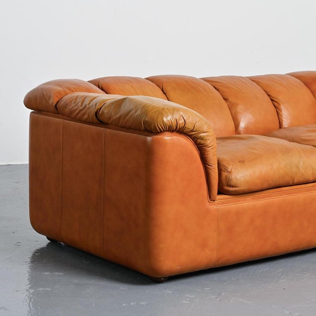 Cocker Leather Sofa by Franco Bresciani for Poltrona Frau, 1970s For Sale - Image 11 of 16