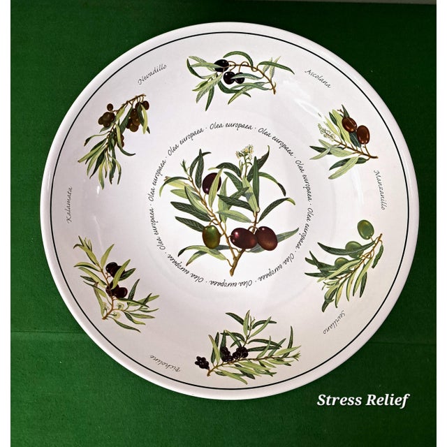 Williams-Sonoma Mediterranean Williams Sonoma Olea Europaea Botanical Olive Serving Bowl Set - 5 Pieces For Sale - Image 4 of 14