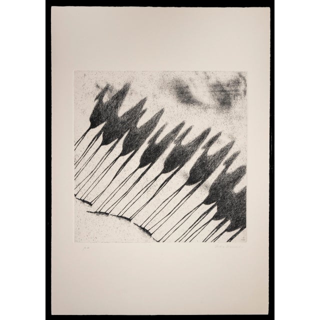 Shadow of Camels is original etching realized by Tullio Diamanti in 1980. Hand-signed. Artist's proof. Sheet dimension: 70...
