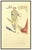 Message us to inquire about custom framing options! (Included for free with every purchase) The artwork here, "Apollon",...