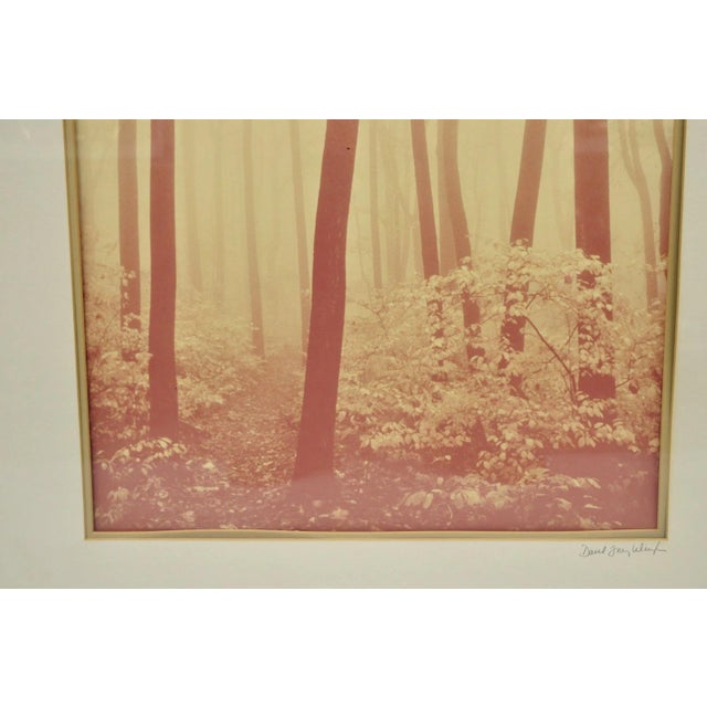 Vintage David Lorenz Winston "Seven Trees" Landscape Signed Framed Art Print For Sale In Philadelphia - Image 6 of 14