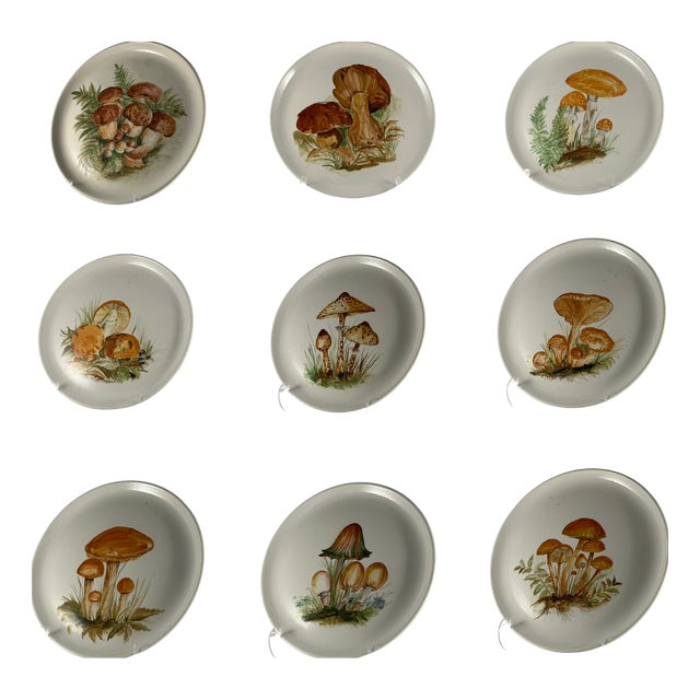 Vintage Hand-Painted Mushroom Plate Set of 9 Italian Ceramic Art, 1970, Set of 9 For Sale