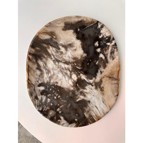 Very Large Vide-Poche or Dish in Petrified Wood For Sale - Image 11 of 18